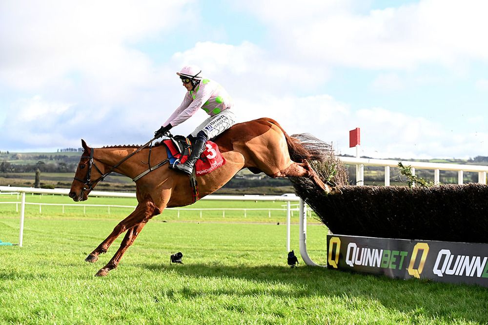 Mister Policeman (pictured at Punchestown)