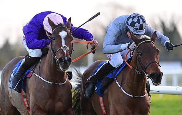 Sporting Glory, right, beats Sky Lord