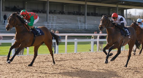 Diligent Harry, left