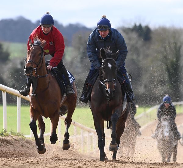  Gerri Colombe and Shane McCann (right) 