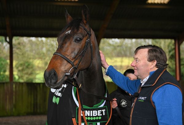 Constitution Hill with Nicky Henderson at his stables Seven Barrows in Lambourn 22.02.24 Healy Racing