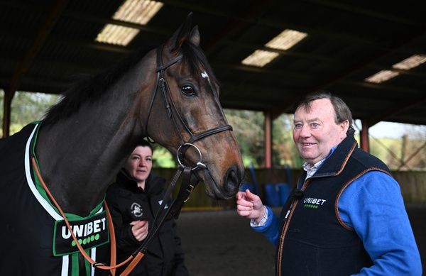 Constitution Hill with Nicky Henderson 