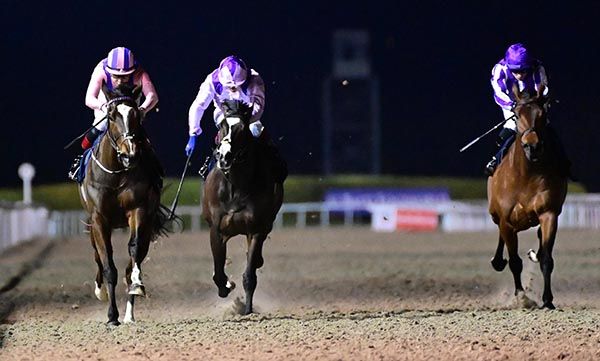 Bergamasco (left), Navy Seal (right) and Nerano