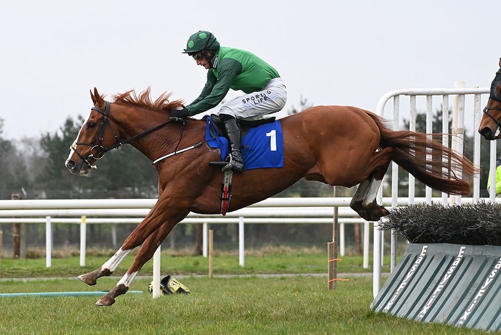 Intellotto and Daryl Jacob