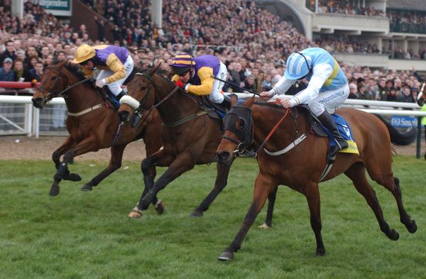 Hardy Eustace and Conor O Dwyer(near side) just beat Harchibald(centre) and Brave Inca(far) in epic Champion Hurdle. 