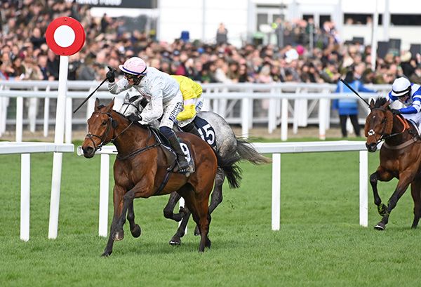 15-3-24 Cheltenham.Absurde and Paul Townend win the BetMGM County Handicap Hurdle.Healy Racing Photo.