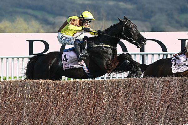 15-3-24 Cheltenham.Galopin Des Champs and Paul Townend win the Boodles Cheltenham Gold Cup Chase (Grade 1).Healy Racing Photo.
