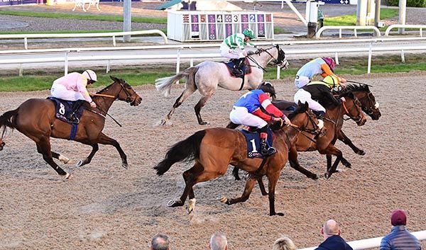 Grey horse Walhaan hits the line first