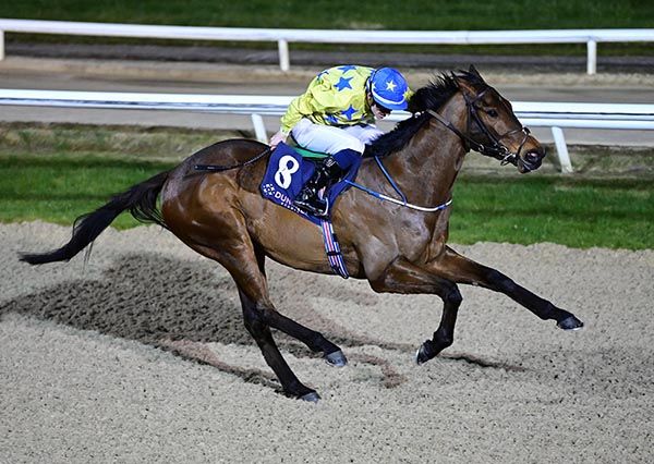 Fivecromwellplace and Nathan Crosse 