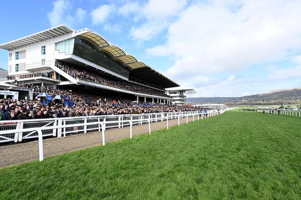 BHA found no links between recent Cheltenham fatalities 