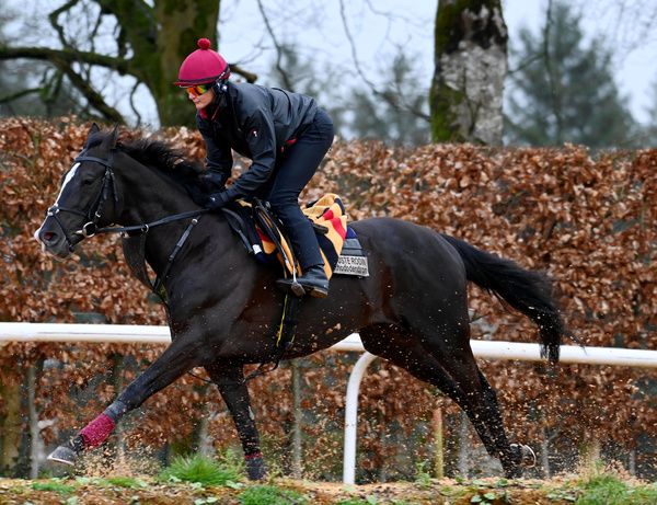 Auguste Rodin and Rachael Richardson