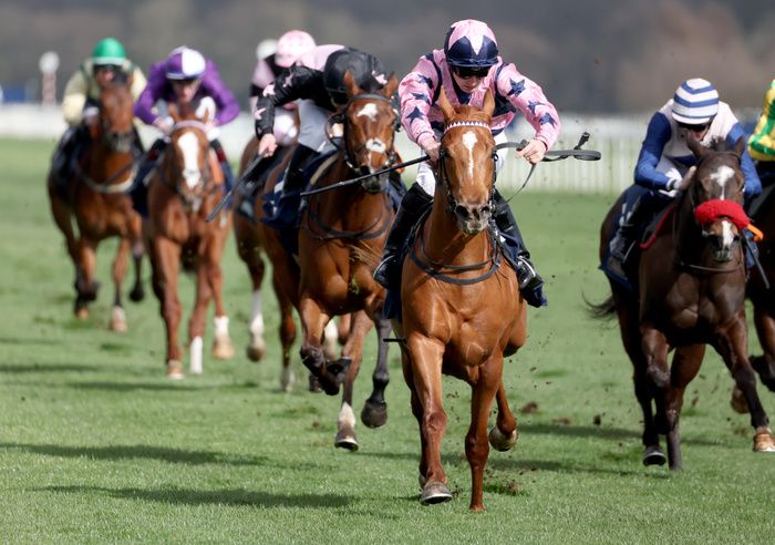 Zminiature and Rhys Clutterbuck pink and blue  winning The Brocklesby Stakes Doncaster 