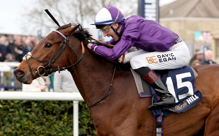 Mr Professor and David Egan 