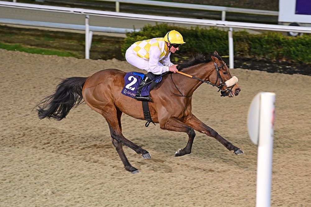 Alphonse Le Grande and Seamie Heffernan