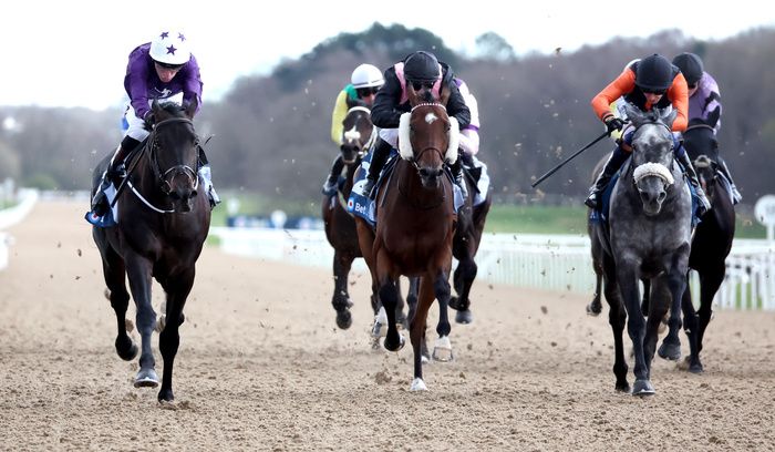 Newcastle all weather action