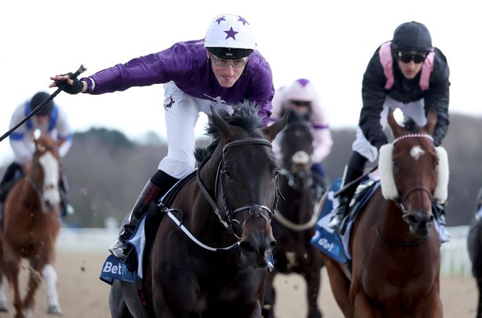 Elegant Man and David Egan in Newcastle