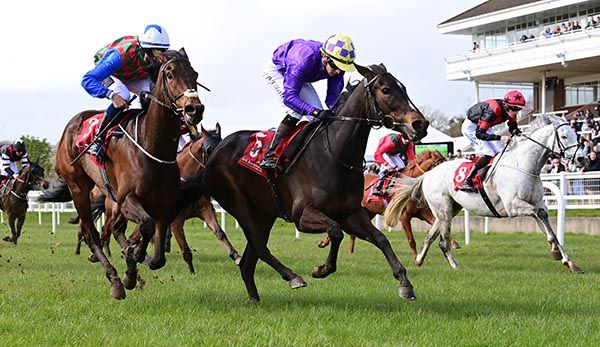 Independent Expert (purple) 