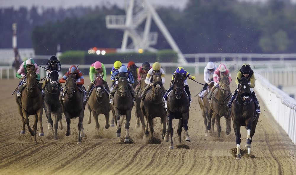 Meydan Racecourse