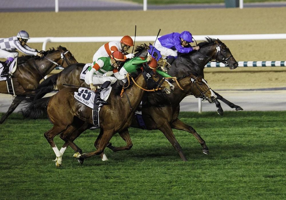 Facteur Cheval could bid to end his season at the Breeders Cup 