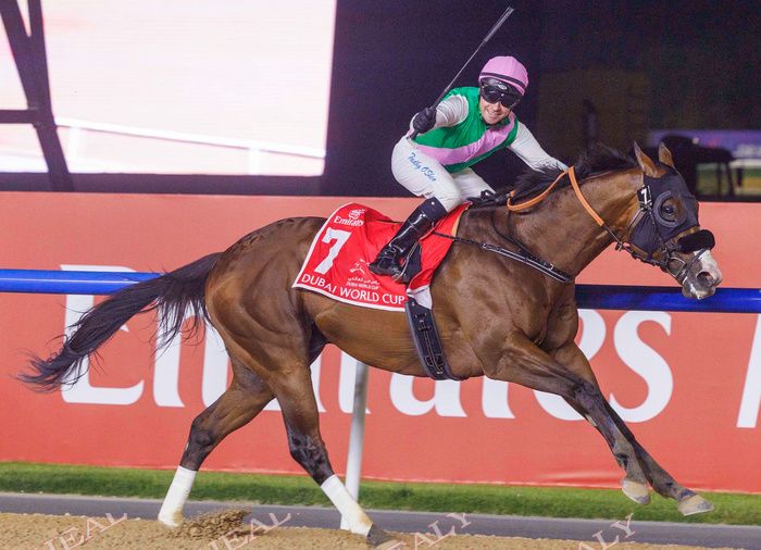 2024 Dubai World Cup Laurel River and Tadhg O'Shea win 