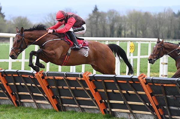 31 3 24 Cork Lucky Zebo and Mike O Connor win the Bar One Racing Easter Handicap Hurdle Listed Healy Racing Photo