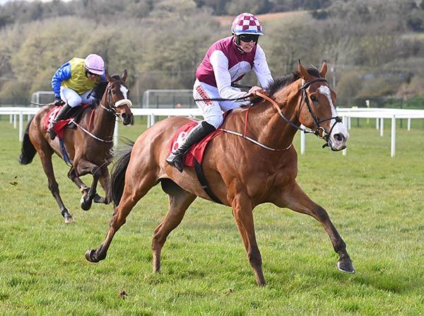 31 3 24 Cork Nowwhatdoyouthink and Joey Dunne win the Woodlands House Hotel Adare Flat Race Healy Racing Photo