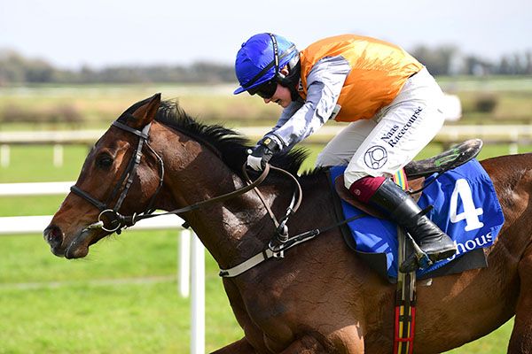 Captain Cody is favourite for today's Thyestes