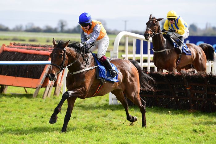 31-3-24 FairyhouseCaptain Cody and Jody Townend jump the last to win the Paddy Kehoe Suspended Ceilimng Novice Hurdle (grade 2) for trainer Willie Mullins.Healy Racing Photo
