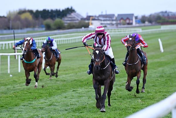 Forty Coats leads home his rivals under Andrew Jones