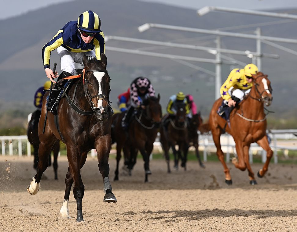Miss Black Jack and Wesley Joyce win for trainer John O Donoghue Healy Racing