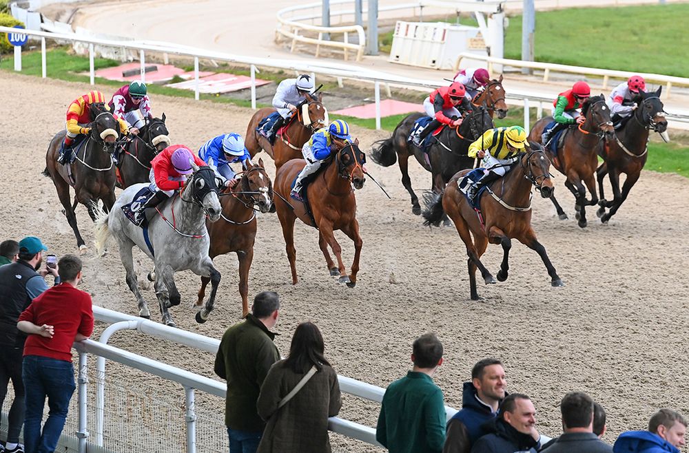 Shining Aitch and James Ryan left grey win for trainer Tom McCourt.