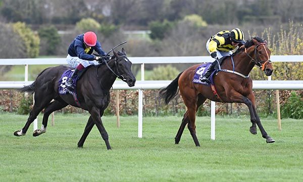 Ecureuil Secret (right) beats Thequietman