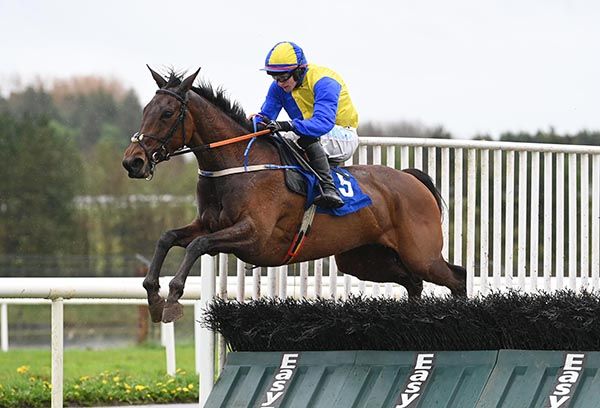The Big Cloud clears the last under Sean O'Keeffe 