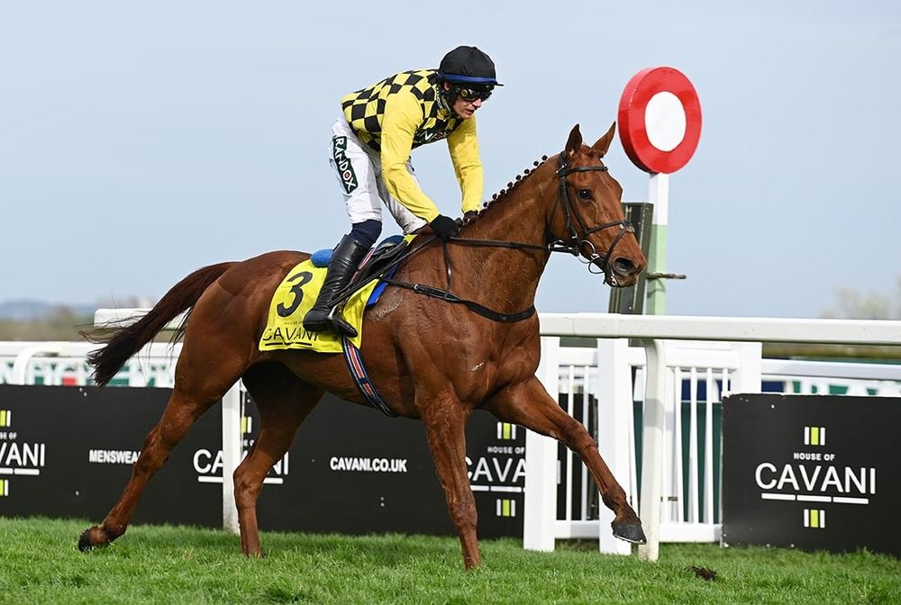 Dancing City and Paul Townend