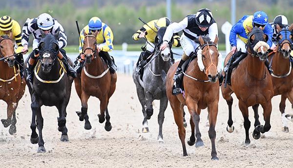 Make Clear (centre) and Shane Foley
