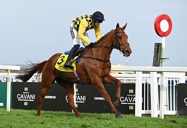 Aintree 12-4-24  Dancing City & Paul Townend win the Grade 1 Cavani Sartorial Menswear Sefton Novice Hurdle(Photo HEALY RACING)