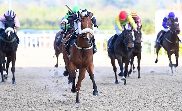 Suityourselfboss and Wayne Hassett