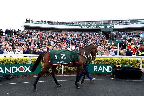 I Am Maximus pictured in parade ring ahead of his win