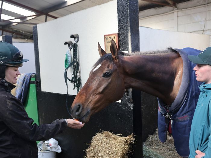 The cost of feed, hay, farrier, bedding and veterinary care is increasing