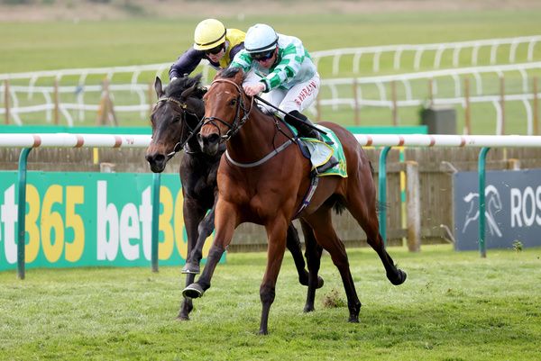 Woodhay Wonder and Tom Marquand winning at Newmarket