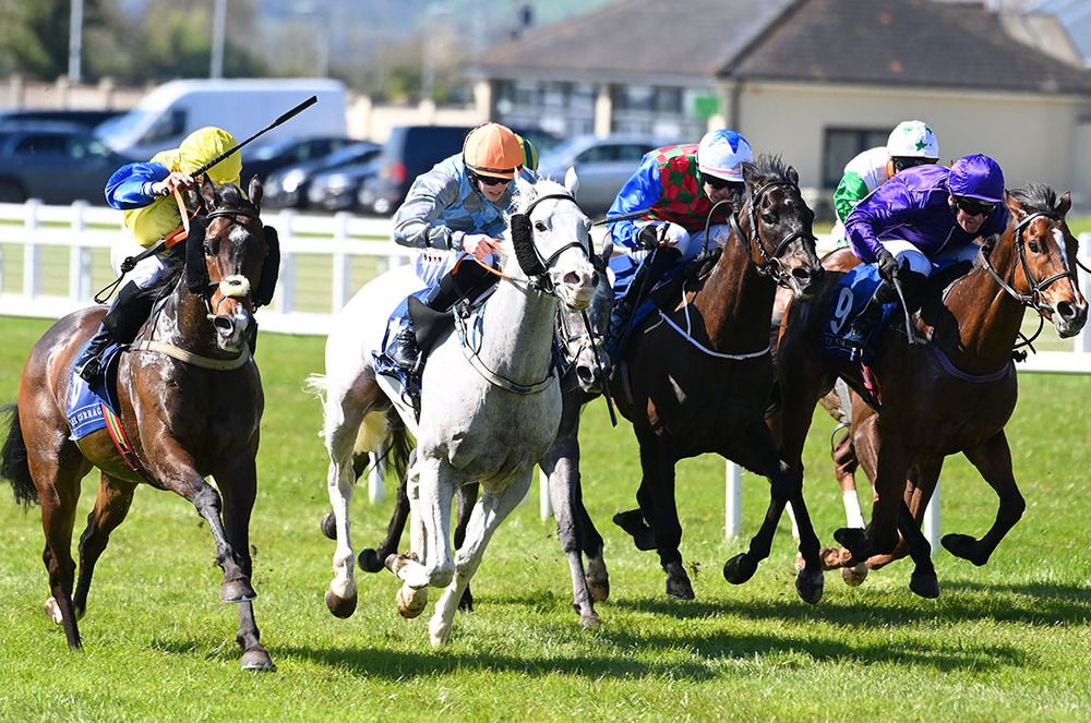 Zephron and Wayne Hassett (nearest) come with a winning run