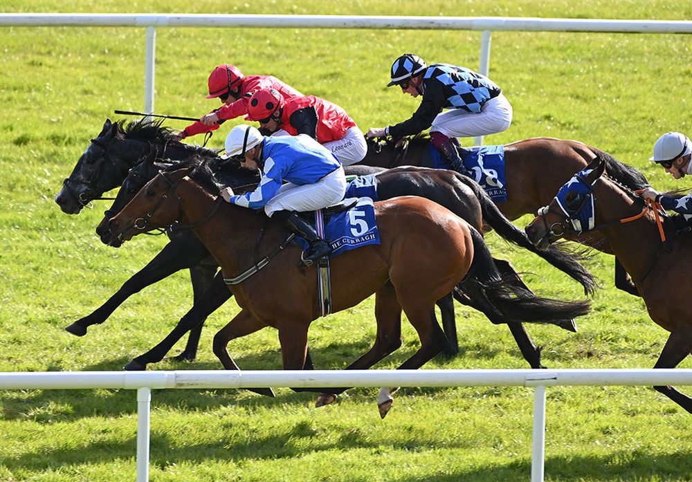 Redshore City (red colours far side) beats Pinar Del Rio (nearest) and Un Bacio Ancora (centre)