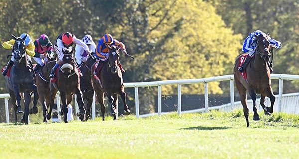 Mataariki has them toiling in behind