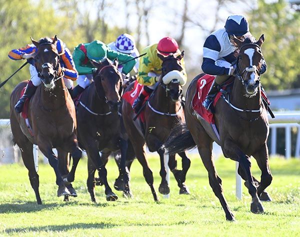Camelot Alexander winning in Gowran Park