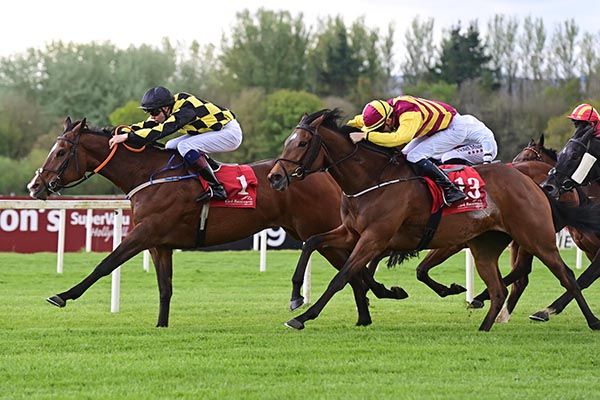 Karlsberg and Hugh Horgan far win the Follow Us On Social Media Handicap from Pascalia near Healy Racing Photo