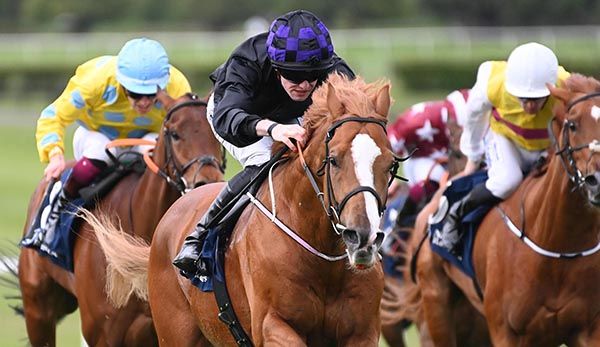 Marty The Party's white face in front close home