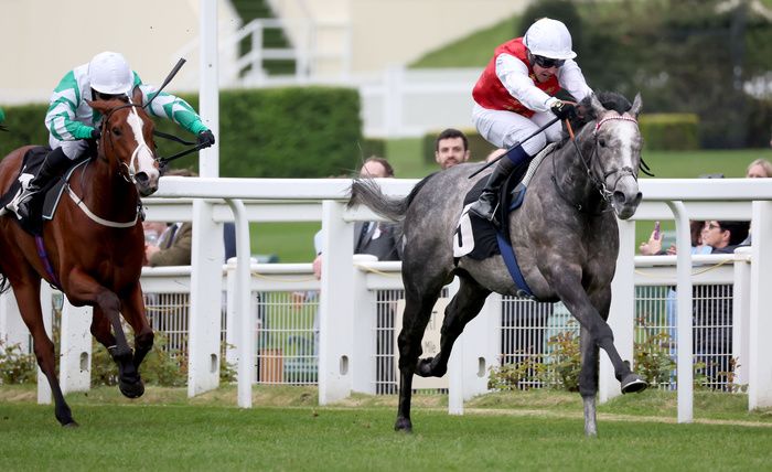 Jasour has plenty of options in the coming weeks 