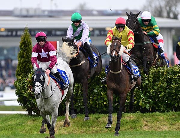 Singing Banjo and Barry Walsh yellow win the La Touche Cross Country Steeplechase 