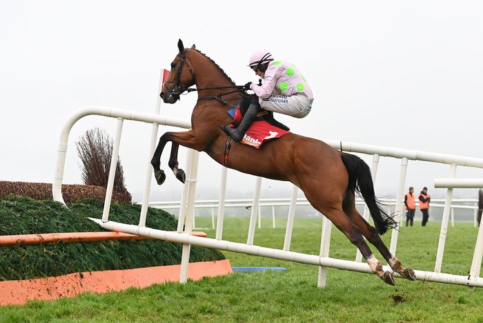 Punchestown 3 May 2024 Allegorie De Vassy and Paul Townend 