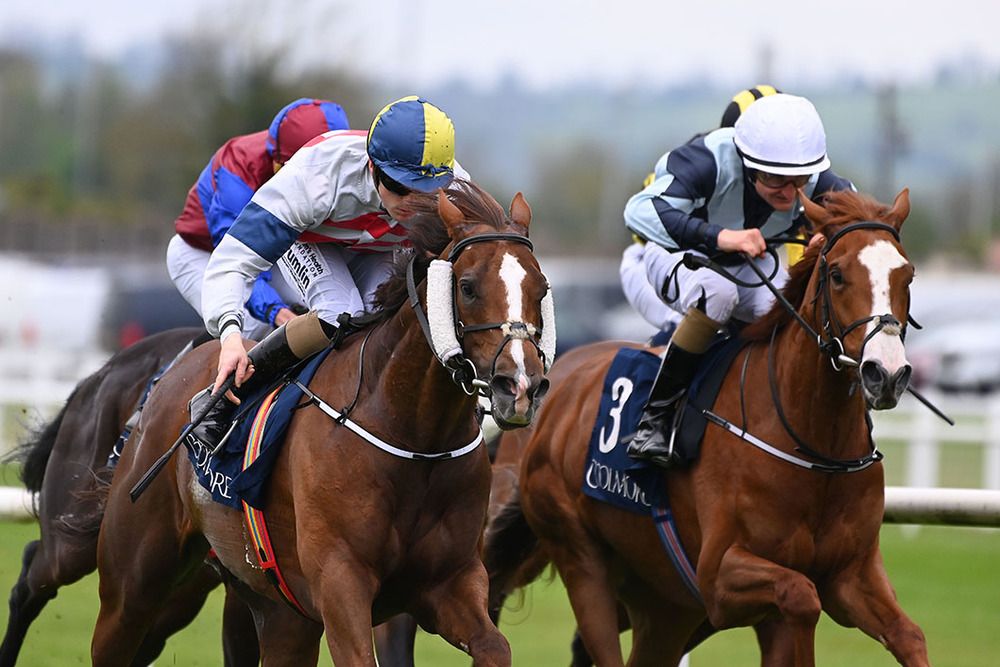 Bright Stripes (Billy Lee, nearside) outpoints Norwalk Havoc (Shane Foley)